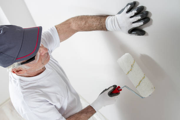 Best Emergency Mold Remediation  in Wainaku, HI