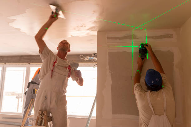 Best Residential Mold Inspection & Testing  in Wainaku, HI