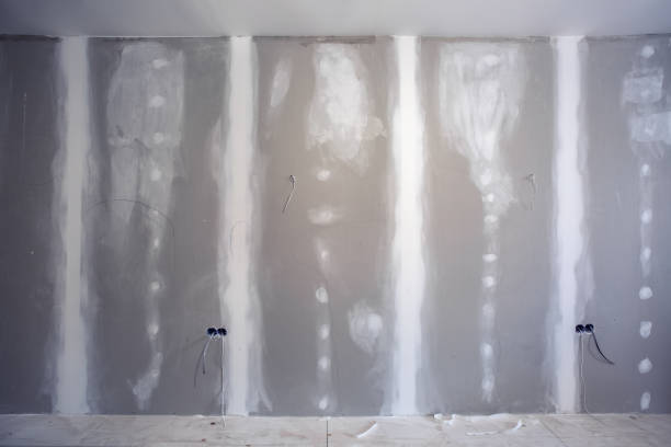 Asbestos and Lead Testing During Mold Inspection in Wainaku, HI